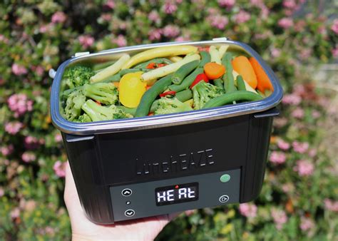 self heating lunch box wireless